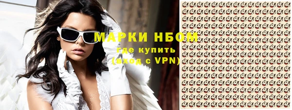 стаф Алзамай