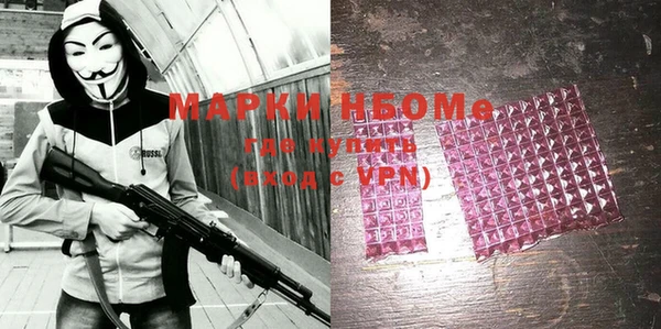 прущие грибы Наволоки