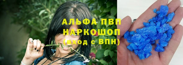 стаф Алзамай